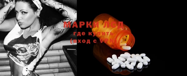 прущие грибы Армянск