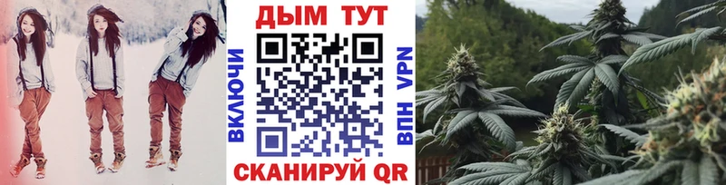 как найти   Балей  Бошки марихуана гибрид 